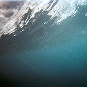 La luz del sol atraviesa la ola