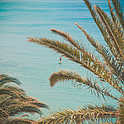 Stand Up Paddle en aguas azules y cálidas